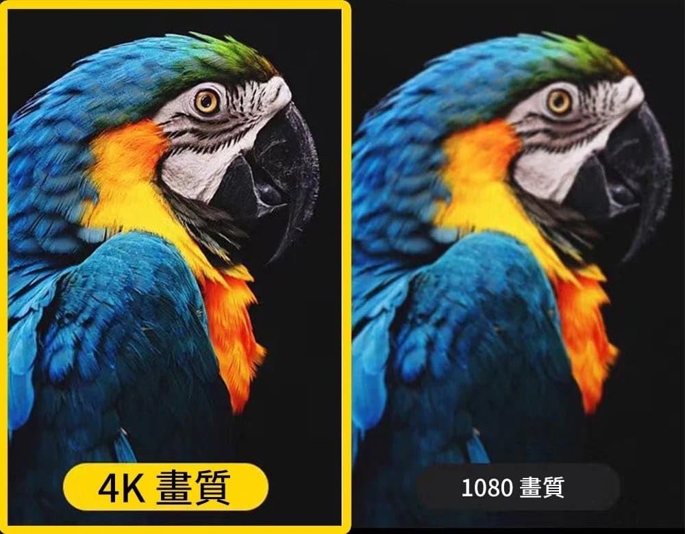 Amazon.co.jp: PIKIV BOX 7P PLUS 派克魔盒 真のAI・真の4K対応 4K